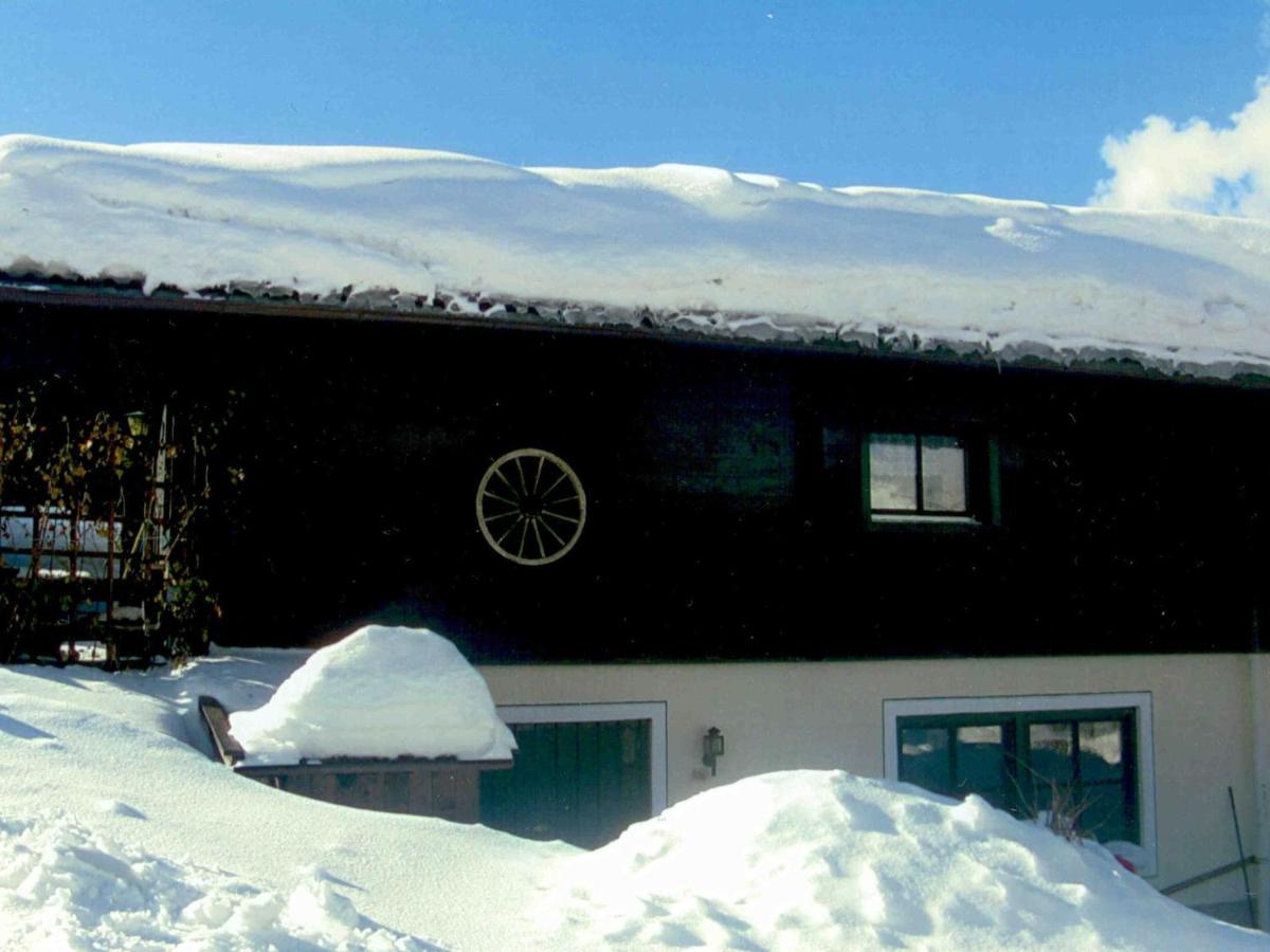 Chalet In Leogang Salzburg With Garden Екстериор снимка